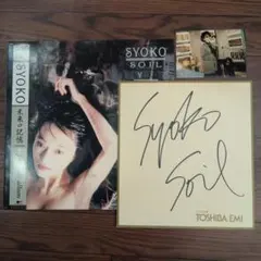 G-SCHMITT SYOKO「未来の記憶 SOIL」レコードサイン色紙付き G-SCHMITT SYOKO「未来の記憶 SOIL」レコードサイン色紙付き - メルカリ