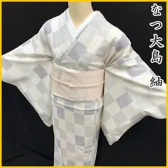 ○507mt3○夏物 破陣楽 御召 紋紗 花びら文 ふくよかトール - メルカリ