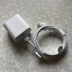 Apple純正　20w USB-C充電器とケーブルセット
