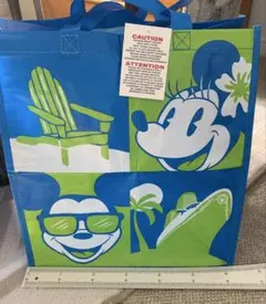 ディズニー　折り畳みバッグ2点セット　新品未使用タグ付