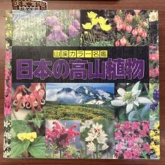 これでわかる薬用植物 中田福市 中田喜久子 - メルカリ