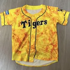 Item thumbnail for item e0589c8d-7a1f-4dea-b025-fe7c999f3613