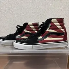 希少 vans × hosoi SK8-HI 2ndモデル 26cm - メルカリ