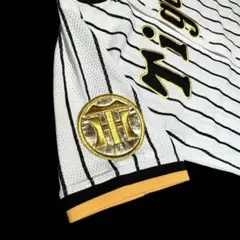 刺繍アイロンワッペン 阪神タイガース チャンピオン エンブレム 金