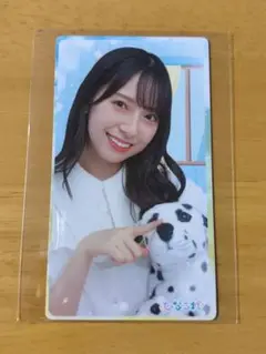 日向坂46 ひなこれ リアルカード 金村美玖