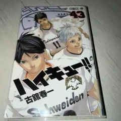 ハイキュー　漫画　43巻
