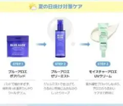 ネイチャーリパブリック ブルーアロエ ミスト　ポアパッド　サンクリームのサムネイル