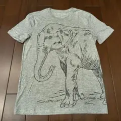 BANANA REPUBLIC バナナ・リパブリック Tシャツ グレー Mのサムネイル