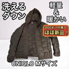 Item thumbnail for item 2bba9b9a-71bb-496e-888e-b6ebf24fad40