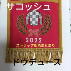 アクリルオブジェ ドウデュース 第89回日本ダービー アクリルオブジェドウデュース第89回日本ダービー