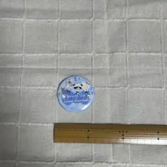 ユーリ!!! on ICE × サンリオ コラボ缶バッジ（集合・水色）
