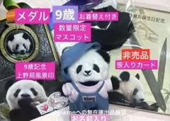 上野動物園 抱っこシャンシャン BIG 吉徳製 - メルカリ