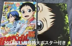 ☆匿名配送☆月刊PASH!2014年11月号特大ポスター付き