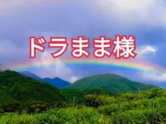 ドラまま様　山梨県産　ソルダム　5kg　プラム　すもものサムネイル