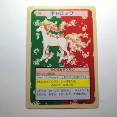 ポケカ トップサン ギャロップ 緑裏