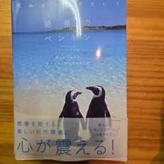 2026年最新】色づく世界の明日から なないろのペンギンの人気アイテム