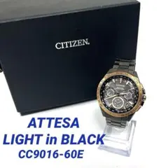 【限定モデル】<CITIZEN>ATTESA LIGHT in BLACK