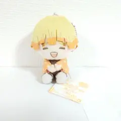 たあこ様専用　鬼滅の刃　ぽふっとぬいぐるみ　其ノ弍　我妻善逸　ぬいぐるみ