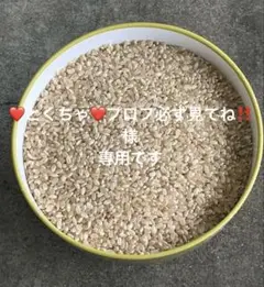 も*か様 令和7年度産　コシヒカリ　20kg　白河　玄米 も*か様 令和7年度産 コシヒカリ 20kg 白河 玄米 - メルカリ