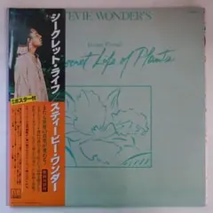 Stevie Wonder Journey Secret Life