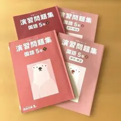 四谷大塚予習シリーズ〈国語5年〉演習問題集 ・解凍と解説/上下4冊セット