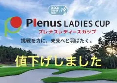 Item thumbnail for item 834a39a5-2dde-4b01-a318-de79b048964e