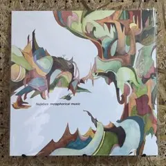 Nujabes THE FINAL VIEW 12inchレコード ヌジャベス - メルカリ