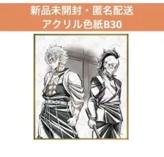 鬼滅の刃 webshopくじ アクリル色紙 不死川実弥 不死川玄弥 B30 ④