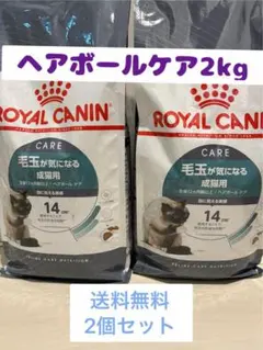 ロイヤルカナン ベンガル成猫用（生後12ヶ月以上） - メルカリ