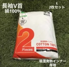 Item thumbnail for item 21965c3e-2d92-401e-8db5-ee9e136fdb31