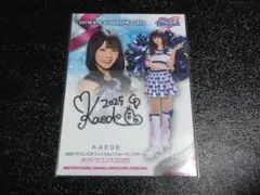 Item thumbnail for item cacb994a-891e-4fb5-bb90-96face208c4e