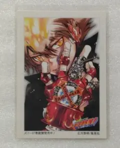 沢田綱吉 非売品イラストカード 家庭教師ヒットマンREBORNリボーン