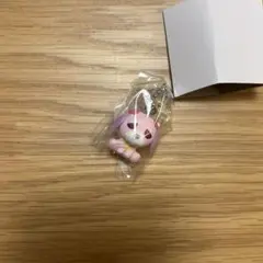 お茶犬　チョコボーロ　ハナ