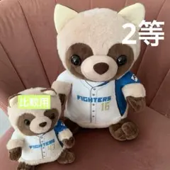エスコン 動物ぬいぐるみくじ【２等 達選手 タヌキ】のサムネイル