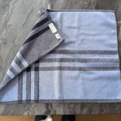 Item thumbnail for item be619e79-fdc5-42a6-bbdc-184d8b55796f