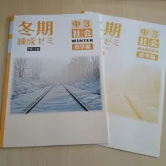 ラムラム様 リクエスト 2点 まとめ商品