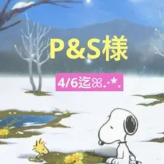P&S様 專用頁