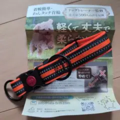 Item thumbnail for item 4f22eec4-c2d8-484c-bb26-50b5d0e963f7