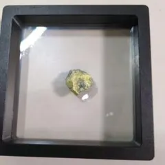 2025年最新】バンデンブランデアイトの人気アイテム - メルカリ