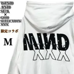 【限定コラボ】ゴッドセレクション×ウィンダンシー✨️両面ビッグロゴ　パーカー　希少