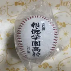 校名ボール　報徳学園高校