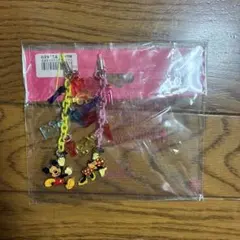 東京ディズニーリゾート ミッキー ミニー ストラップのサムネイル