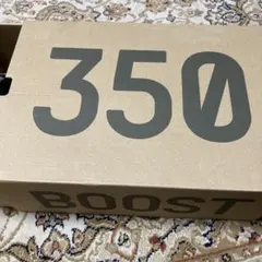 Yeezy Boost 350