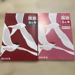 四谷学院☆55段階☆共通テスト対策☆大学受験対策☆国語☆現代文
