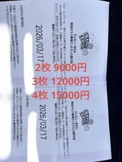 ディズニーランド ハッピーエントリー 2枚