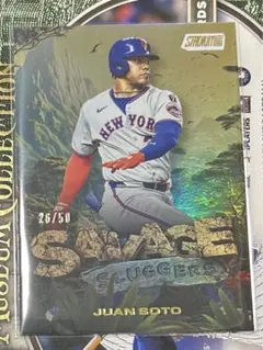 2026年最新】Jua sotoの人気アイテム - メルカリ