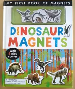 Dinosaur Magnets (My First) Board book