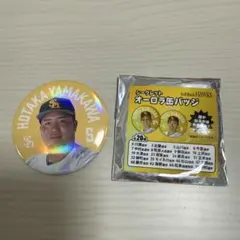 Item thumbnail for item b4c5d895-7387-46a4-b745-cec83a8cb0bf