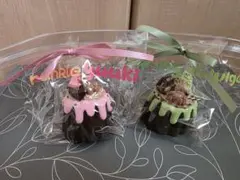 Dodomi studio スクイーズ