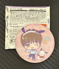 SEVENTEEN サンリオ コラボ 缶バッジ ドギョム DK